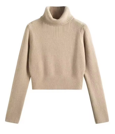 Alyssia – Maglioncino Corto a Collo Alto in Maglia a Costine